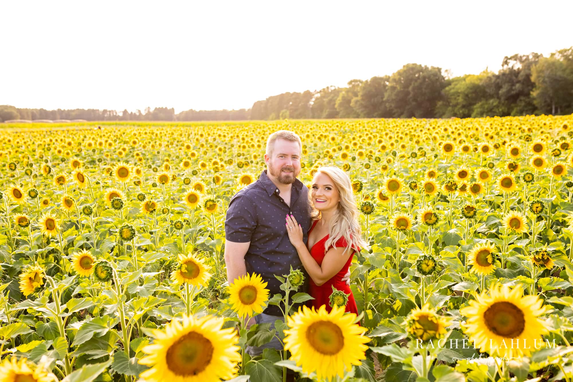 Poses in sunflower field