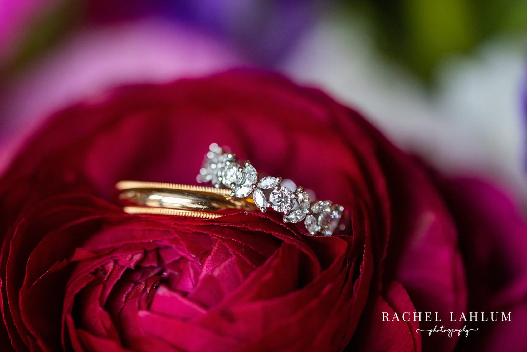 Close up image of wedding rings laid within the petals of a flower. 